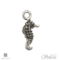Charm Solara in Argento 4960 SOLARA - 4960 SOLARA